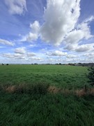 IMG_2514.jpeg