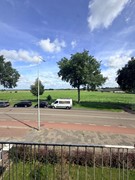 IMG_2477.jpeg