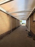 IMG_2517.jpeg