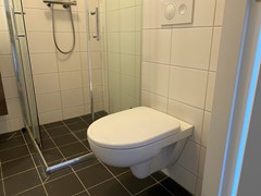 IMG_2995.jpeg