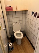 IMG_5174.jpeg