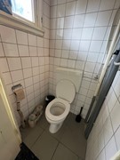IMG_5177.jpeg