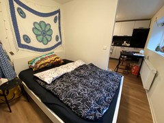 IMG_1942.jpeg