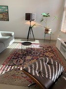 IMG_5813.jpeg