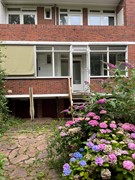 IMG_5533.jpeg