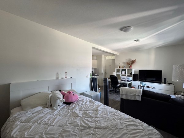 Medium property photo - Barestraat 36-9, 9725 CP Groningen