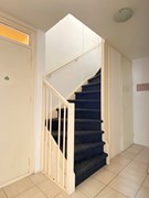 IMG_9600.jpg