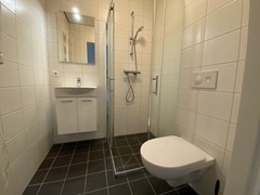 IMG_2806.jpeg