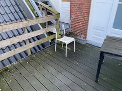 IMG_3194.jpeg