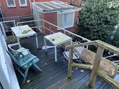 IMG_3151.jpeg