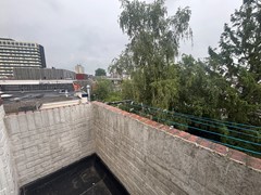 20250725_094447642_iOS.jpg