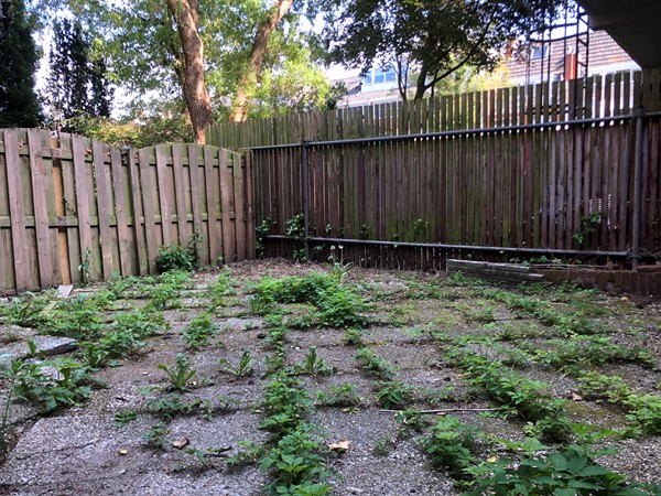 Medium property photo - Parkweg 108, 9725 EM Groningen