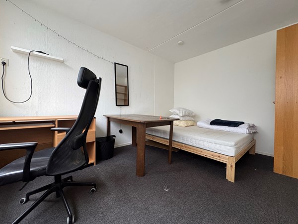Medium property photo - Briljantstraat 3, 9743 NA Groningen