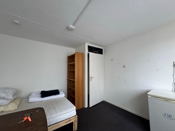 Medium property photo - Briljantstraat 3, 9743 NA Groningen