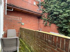 IMG_3251.jpg