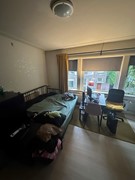 IMG_0855.jpeg