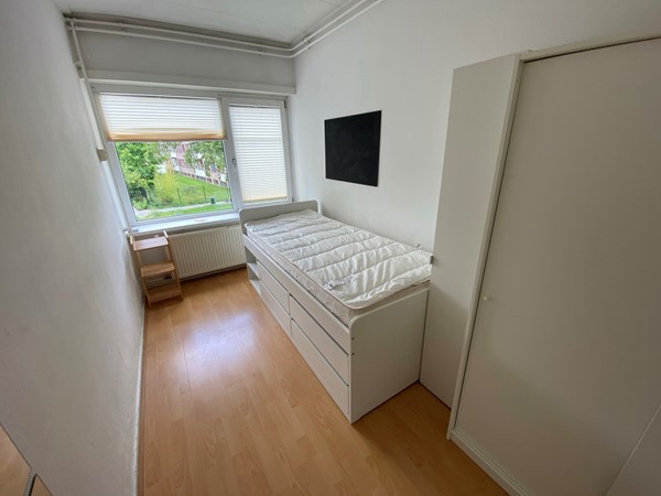d95eb3d4-90cb-40aa-b86c-88d109ac0cb0.jpg