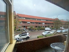 IMG_2683.jpg