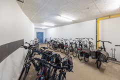 36. Ter lips 23 1D8A0608-HDR.jpg