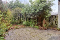 DeSavorninLohmanplantsoen352253vmVoorschoten-40.jpg
