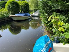 IMG_1798.jpeg
