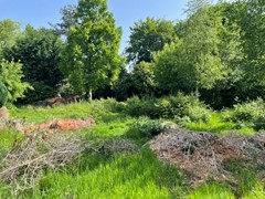 IMG_1799.jpeg