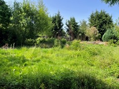 IMG_1797.jpeg