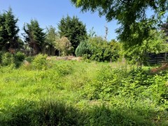 IMG_1796.jpeg