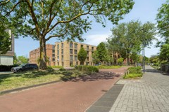 Swammerdampad92334daLeiden-04.jpg