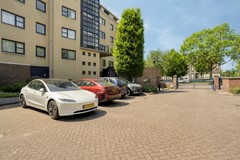 Swammerdampad92334daLeiden-05.jpg