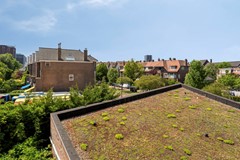 Swammerdampad92334daLeiden-27.jpg