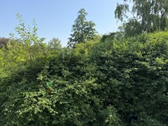 Nieuw in verkoop:Chopinlaan 38, 2253 BW Voorschoten - Foto