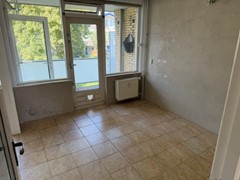 IMG_2047.jpeg