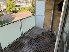 IMG_2049.jpeg