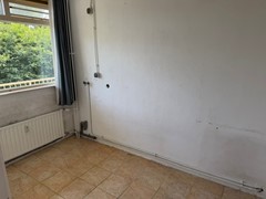 IMG_2045.jpeg