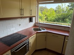 IMG_2052.jpeg