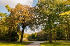 Van Ommerenlaan 22 Wassenaar-55.jpg