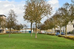 4650-Boeieraak 6.jpg