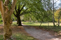 Bachlaan163706BCZeistNL-33.jpg