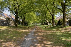 Bachlaan163706BCZeistNL-34.jpg
