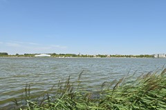 9003-Boeieraak 44.jpg