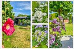 Funda HD formaat-74.jpg