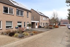 Ringovenhof305865bmTienray-02.jpg