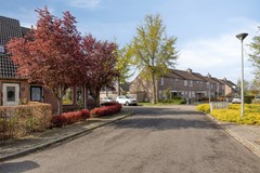 vanMyrlaerstraat135864bpMeerloNL-03.jpg
