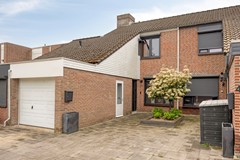 Donkesven435932sgTegelen-02.jpg