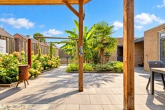 Zonnige patio met weelderige tuin.jpg