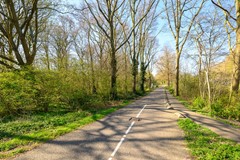 Klaroenstraat 273 Rijswijk-47.jpg