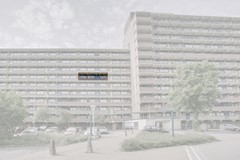 Laveibos 157 Zoetermeer-37.jpg