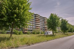 Laveibos 157 Zoetermeer-1.jpg