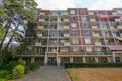 Ranonkelstraat 387, 2565BH Den Haag
